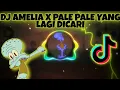 DJ AMELIA X PALE PALE