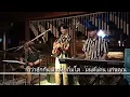 คำว่าฮักกัน มันเหี่ยถิ่มไส - มนต์แคน แก่นคูน {COVER BY T-REX}