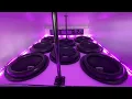 Tremendous Bass 8 Sundown NSv5 15s On 2 Crescendo 17ks