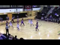 Brittanie Evans Basketball
