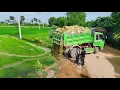 Download Lagu Start Opening New Project!Stone Pouring By Dump Truck 5Ton Dumping,Flood Land,Dozer D20P Push Soil