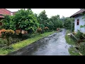 Download Lagu Heavy rain in village || Beautiful and Clean village || Indonesian country