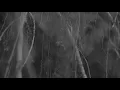 Hammock - Saudade (Silencia)