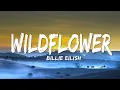 Download Lagu Billie Eilish - WILDFLOWER (Lyrics)