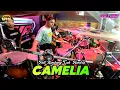 Download Lagu CAMELIA - CAK HENDRA | NEW ASTINA LIVE MOJOPURNO WUNGU MADIUN - PM AUDIO