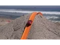 Download Lagu Hot Wheels Beach Track