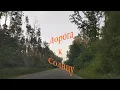 Download Lagu KorgStyle -Дорога к Солнцу (Korg Pa 900) DemoVersion