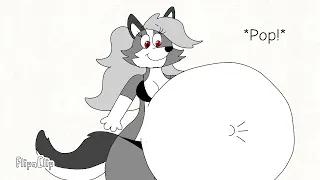 Loona wolf Belly Inflation pjvera