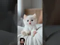 Download Lagu #cat #lipsyncs #cute #funny #kitten #lipsync #sadabaharnagme #superhitsong #helpmemakethismakesense