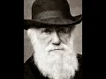 Download Lagu Charles Darwin (Little Dark Age Edit)