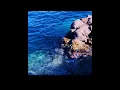 Miniyamba (BirdZzie)