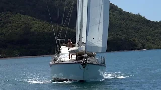 Cat or Mono? –  Delos Vs. Wild One (Barramundi 470)