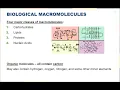 Chapter 3 - Biological Macromolecules