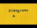 Pinegrove - Need 2 (karaoke)