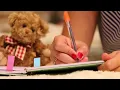 How to Choose a Name as a MtF Trans Woman Transgender Transition Tips Good MtF Names