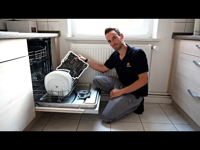 The Diswasher Debate