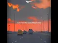 Dandelions (new whatsapp status/story wa)hope you enjoy it.... request song in comments 👇👇