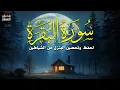 سورة البقرة طاردة الشياطين❤️ بصوت هادئ ومريح جدا جدا ❤️💤تلاوة هادئة للنوم والراحة النفسية 😌🎧
