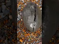 Is this rock a dinosaur egg