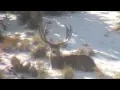 Winter Scouting - MonsterMuleys com