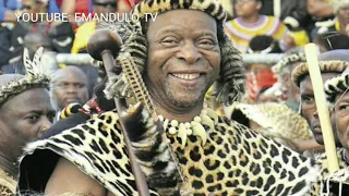 izibongo zengonyama uzwelithini kabhekuzulu inyosi umdletshe 