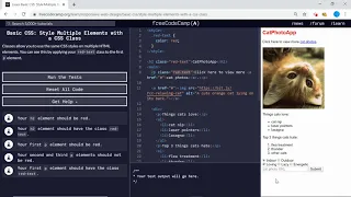 Basic CSS Style Multiple Elements with a CSS Class freeCodeCamp