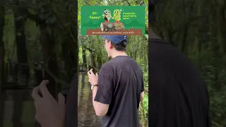  ทำไมการอยู่กับปัจจุบันในธรรมชาติ เช่น การดูฝนตกที่ป่า ถึงช่วยลดความกังวลได้ 