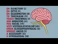 Cranial Nerves Song Remember All 12 in 3mins USMLE NCLEX Med School
