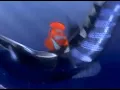 Download Lagu Finding Nemo VHS 2003