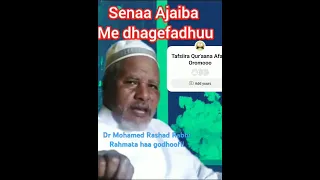 Tafsiiraafanoromo Seenaa Ajaa Ibaa  Tafsiiraafanoromo Seenaa Ajaa Ibaa