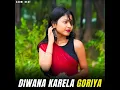 Lagu Diwana Karela Goriya Sweta 🥀 #viral#youtubeshorts #shorts