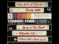 No Other Love - Common Kings