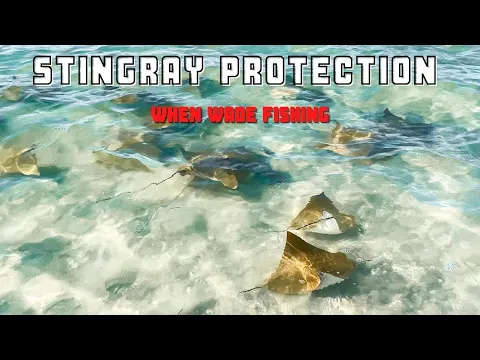 Inner Circle Q&A: Protecting Yourself From Stingrays When Wading