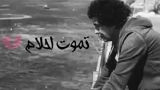 الكينج محمد منير ولسه  بيجري ويعافر ولسه عيونه بتسافر دندنها