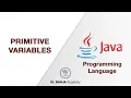 11 - Primitive variables Java Darija