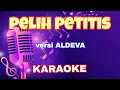 Download Lagu PELIH PETITIS SASAK KARAOKE | VERSI ALDEVA