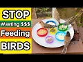 How to Feed Wild Birds Not Waste Money on Bird Seeds Feeding Attracting Wildlife Garden Birding