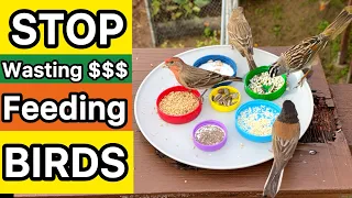 How to Feed Wild Birds Not Waste Money on Bird Seeds Feeding Attracting Wildlife Garden Birding