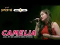 Download Lagu CAMELIA - LAILA AYU KDI [OFFICIAL LIVE VIDEO] | RANTAI RANTAI DERITA