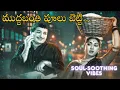 Lagu Mudda Banthi Poolu Song | Lo-Fi Remix | NTR Old Songs | Kalasi Vunte Kaladu Sukham  | NTR, Savitri