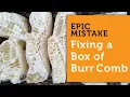 DON T MAKE THIS BIG BEEKEEPING MISTAKE Fixing Burr Comb Cross Comb In A Beehive