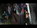 Download Lagu Terekam Wujud Hantu di Kerumunan Warga! 6 Penampakan Pocong dan Kuntilanak yang Viral di Internet