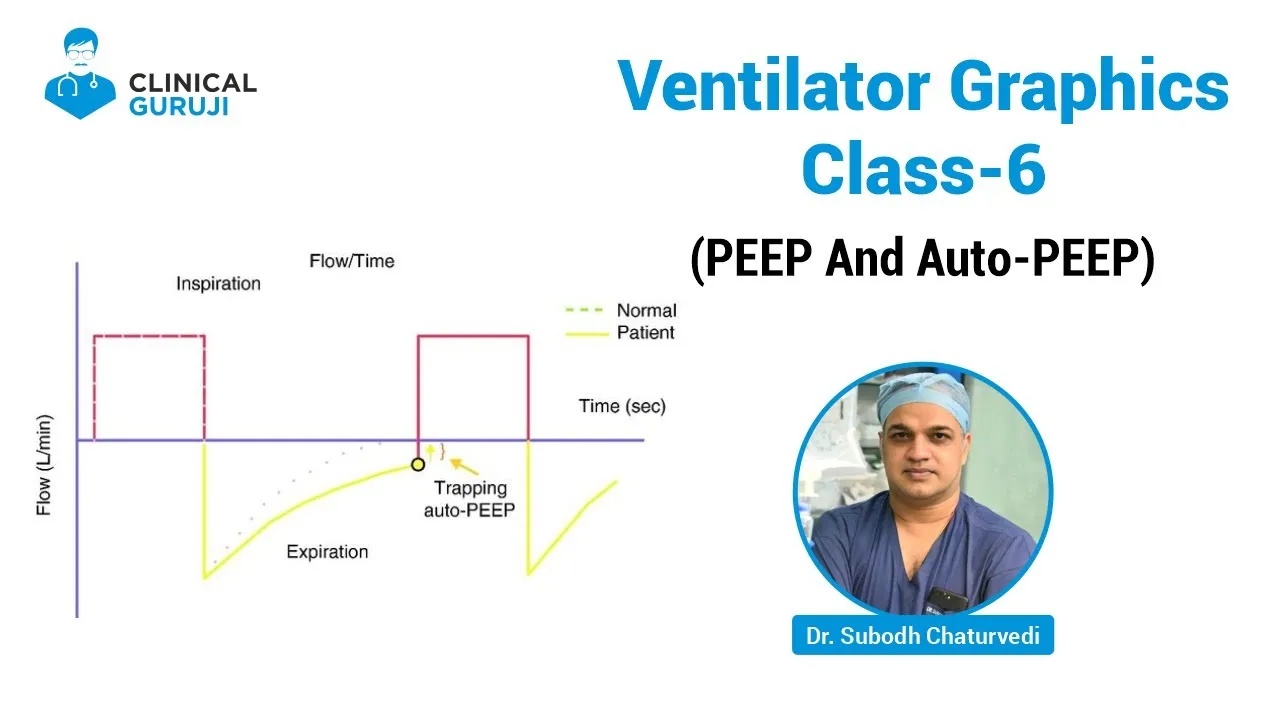 Ventilator Graphics 6 (PEEP & Auto_PEEP)