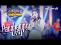 Download Lagu PACOBANING URIP - LARA SILVY feat NEW PALLAPA
