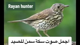 اجمل صوت سكة سمن للصيد رائع Rayan Hunter 