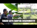 Download Lagu TANAH BANYAK DISEROBOT DAN KALAH DI PENGADILAN, CAKJI BERI SARAN KE PEMILIK TANAH
