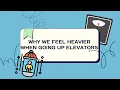 Why do you feel heavier in an elevator when it is accelerating upwards