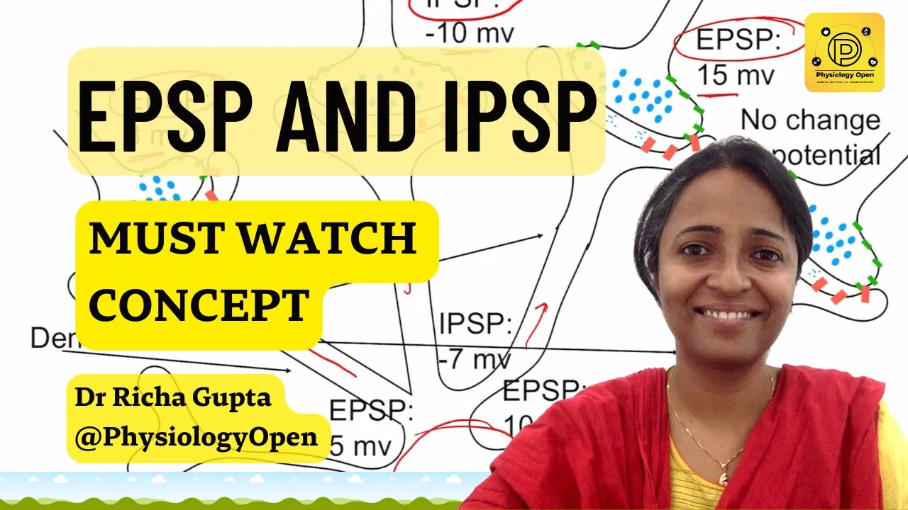 EPSP and IPSP post synaptic potential physiology | CNS physiology mbbs 1st year