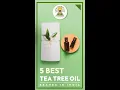 Top 5 Tea Tree Essential Oils On Amazon For Hair Growth