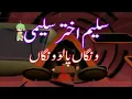 Download Lagu WANGAAN PA LAO WANGAAN=SALEEM AKHTAR SALEEMI 2021